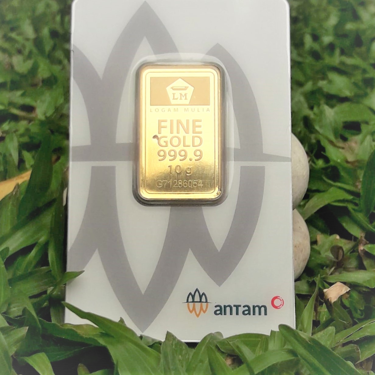 LOGAM MULIA EMAS CERTICARD 10 GRAM 10 gram